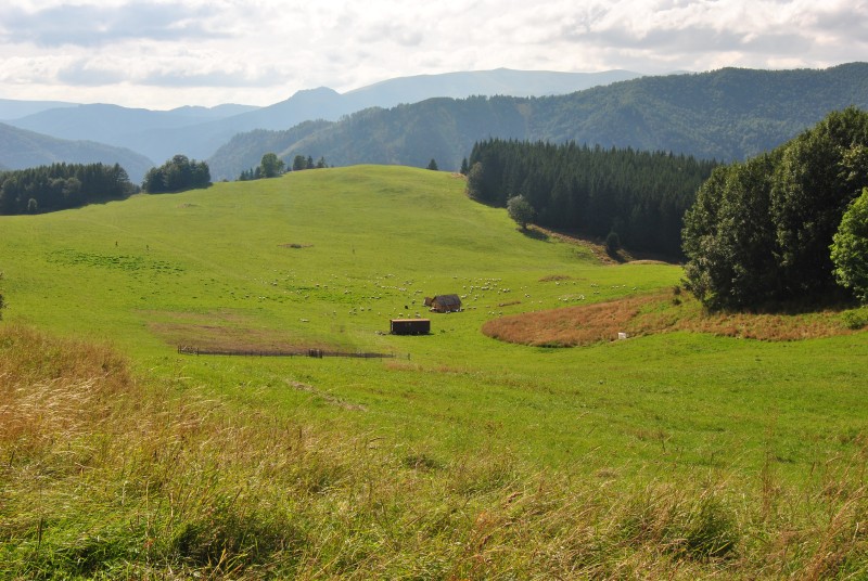 pepajs.cz